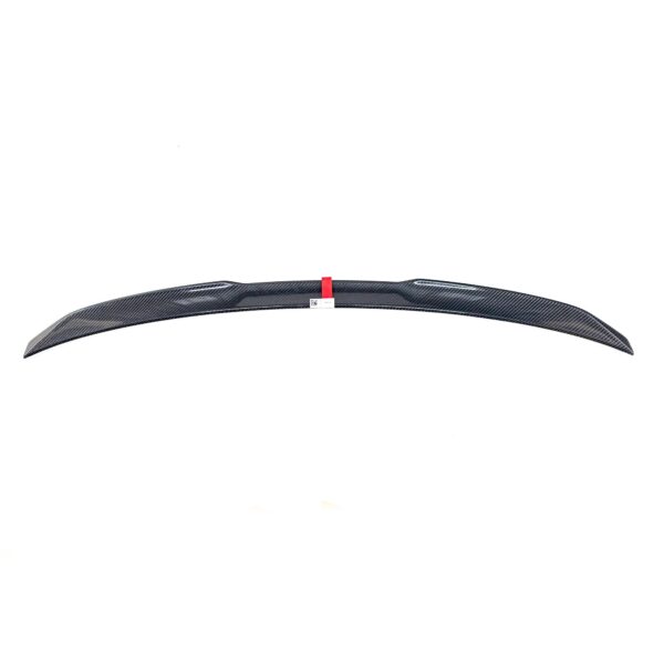 Lotka carbon M Performance 4 G22 / M4 G82 (51628086384)